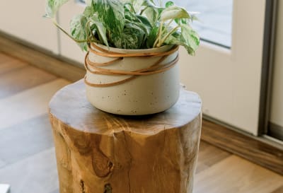 home-staging_86