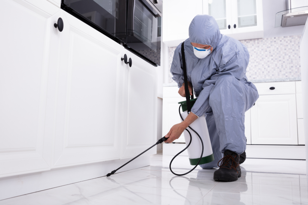 Pest Control Solutions