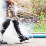 Why General Pest Control in Delhi NCR Is Essential for Your Health & Property