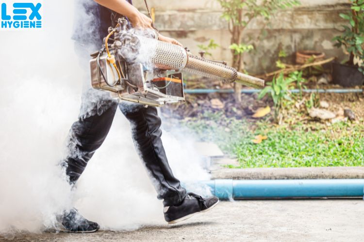 Why General Pest Control in Delhi NCR Is Essential for Your Health & Property