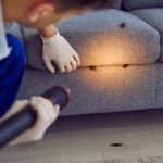 Top General Pest Control Services in Delhi NCR: Keep Your Home Safe
