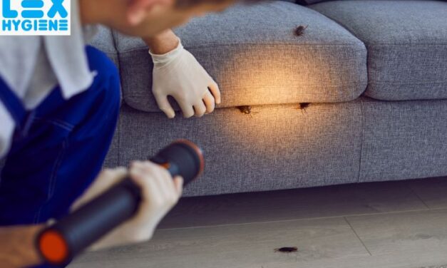 Top General Pest Control Services in Delhi NCR: Keep Your Home Safe