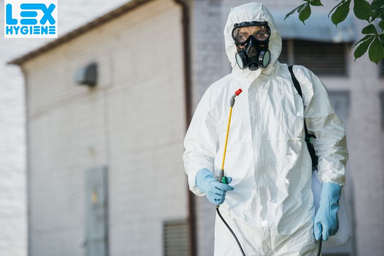 General Pest Control in Delhi NCR: What You Need to Know