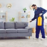 How to Get Rid of Termites in Noida Homes: Proven Methods