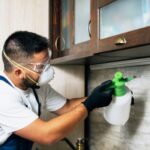 Affordable Termite Control Near Me: How to Book the Right Service