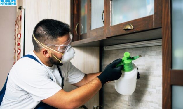 Affordable Termite Control Near Me: How to Book the Right Service