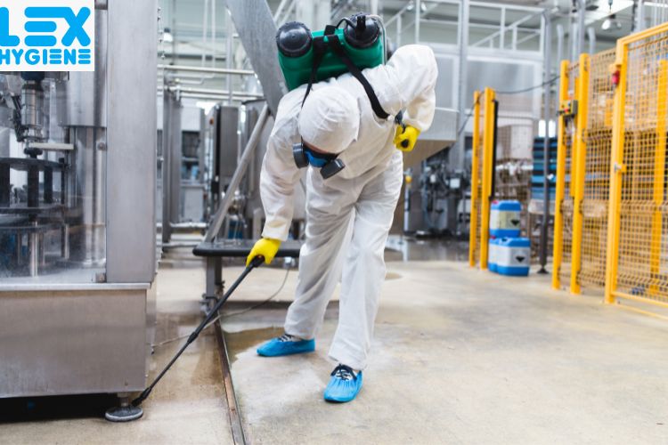  Best General Pest Control in Delhi: What Services Are Included?