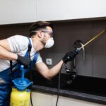 Top 5 Pest Control Companies in Delhi for All-In-One Solutions