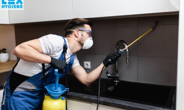 Top 5 Pest Control Companies in Delhi for All-In-One Solutions
