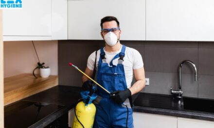 Nearby Termite Control Experts: What Services Should You Look For?