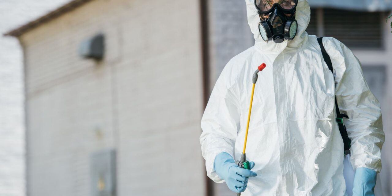The Termite Control Process Explained: Your Comprehensive Guide to Protecting Your Home with Eco-Friendly Solutions
