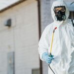 The Termite Control Process Explained: Your Comprehensive Guide to Protecting Your Home with Eco-Friendly Solutions