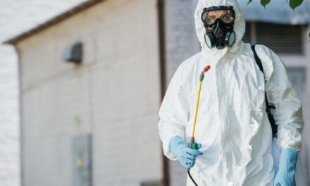 The Termite Control Process Explained: Your Comprehensive Guide to Protecting Your Home with Eco-Friendly Solutions