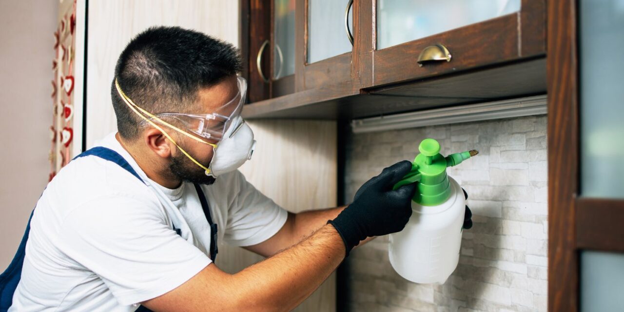 Safeguarding Your Space: Essential Rodent Control Services Delhi and Comprehensive Pest Solutions Across Delhi NCR