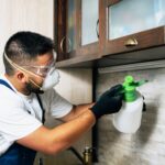 Safeguarding Your Space: Essential Rodent Control Services Delhi and Comprehensive Pest Solutions Across Delhi NCR