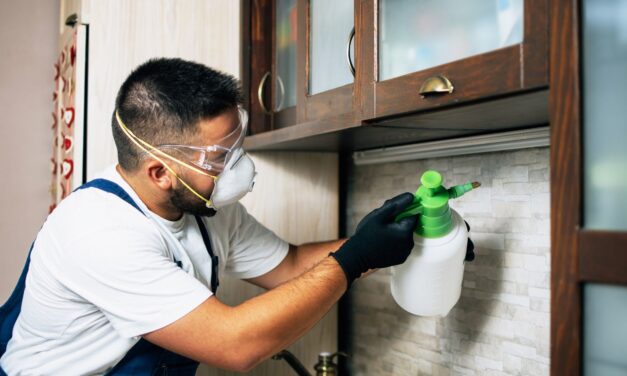 Safeguarding Your Space: Essential Rodent Control Services Delhi and Comprehensive Pest Solutions Across Delhi NCR