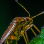 Understanding Termite Treatment Cost: Your Guide to Protecting Your Home