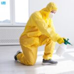 Unearthing the Best Termite Control Services: Your Comprehensive Guide to Protecting Your Home