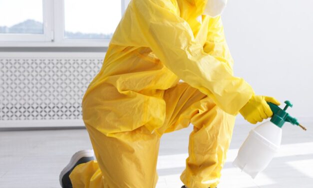 Unearthing the Best Termite Control Services: Your Comprehensive Guide to Protecting Your Home