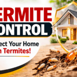 The Ultimate Guide to Residential Termite Control: Protecting Your Home from Silent Destroyers